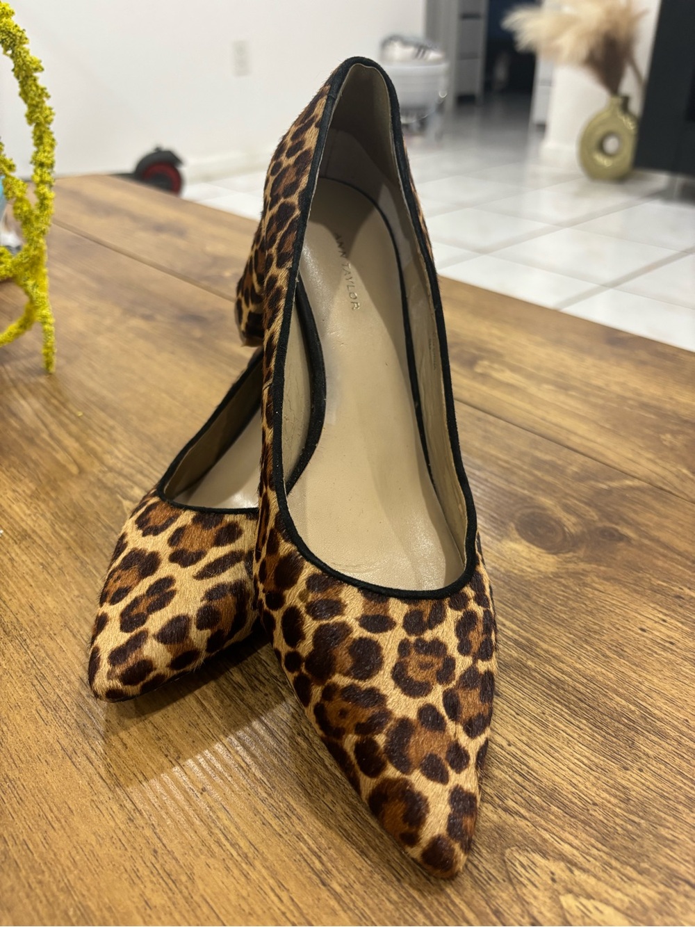 Ann Taylor Leopard-Print Pointed Toe Pumps - Brown/Black